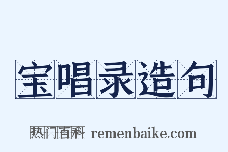 宝唱录造句是什么意思的图片